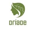 Pesquisa e Pratica em Preservacao Digital logo